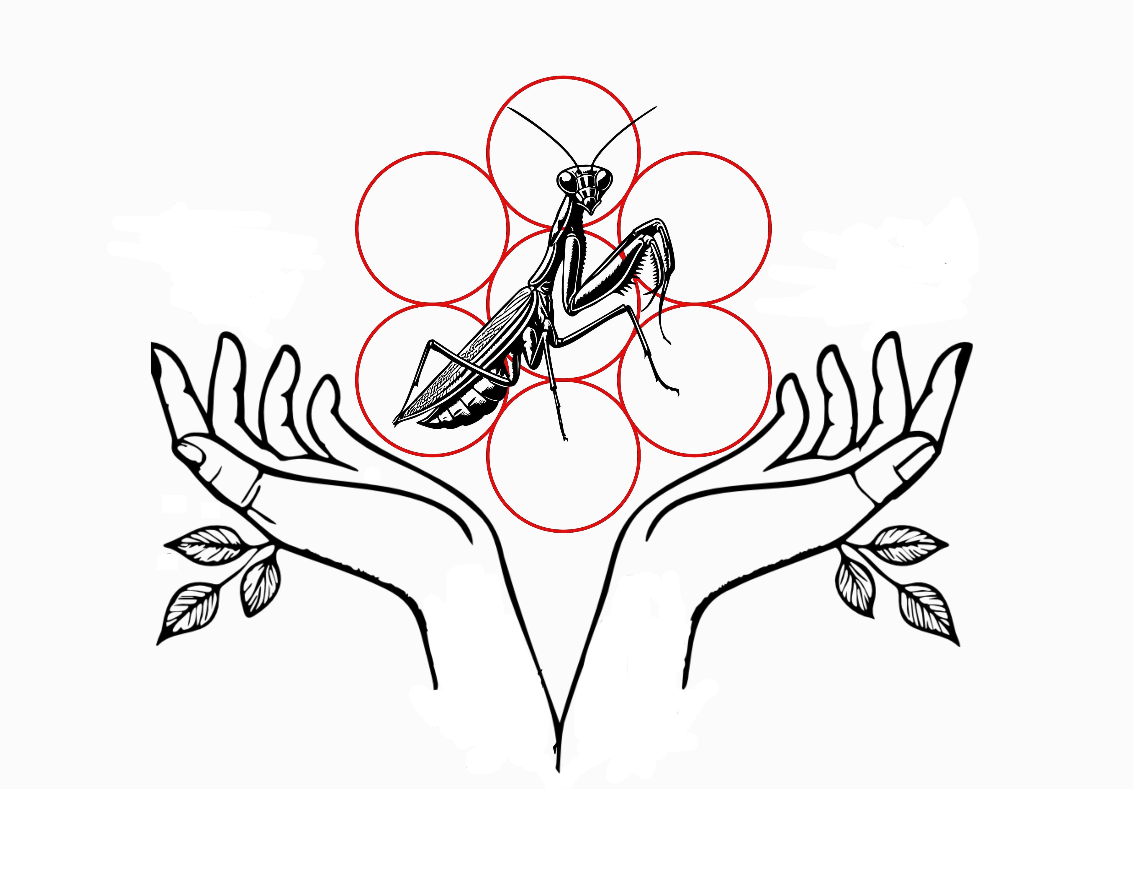 THE ORACLE (The Mantis Connection)